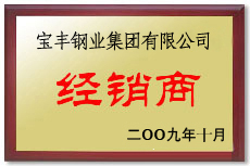 肥城宝丰经销商
